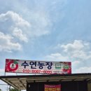 수연농장 이미지