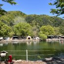 풍산지구 신한은행 앞 | 가평 캠핑 유명산밸리캠핑장 2박3일 코베아 네스트W 피칭 1일차 솔직후기