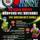 유명구범진권투 체육관 이미지