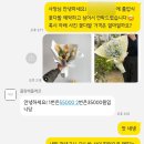 플랑떼플레르