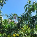 펜션 153 이미지