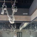 다우필라테스&요가 네이버블로그
