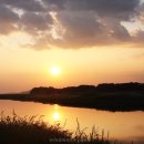 강변살자 이미지