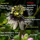 수정-128 이미지