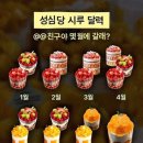 성심당케익부띠끄