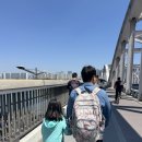 노들섬 | 2026 서울서커스페스티벌 노들섬 어린이날행사 후기
