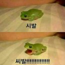 (특강)재미있는 일본어회화 | 직장인의 일본어 능력 시험 JLPT N3 3개월 공부하고 합격한 후기(성적, 공부 방법)🔥
