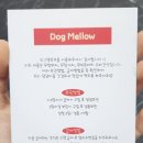 멜로우도그 이미지