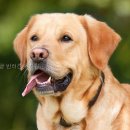 몽글몽글 네이버블로그