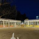 갈대정원 이미지