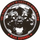 맥스켄넬 이미지