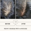 스피드미용실 - 남원시 | 스피드미용실