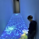 인형 놀이터 이미지