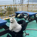 올라펜션 이미지