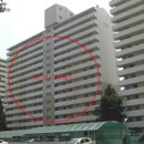 경충대로2050번길 이미지