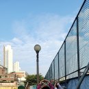 동읍 공설운동장 이미지