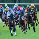 경마루 스테이 이미지