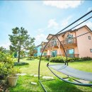 제주시간여행 휴양펜션 이미지