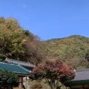 단군나라 | 가을 단풍 모악산 맛집 단군나라 후기
