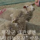 훈이목장 이미지