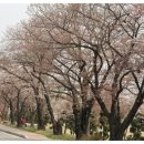 여기산공원 사거리 이미지