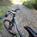 도사곡길 이미지