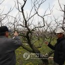 단평2리 연합뉴스