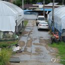 정뱅이 연합뉴스