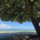 강변비치파크 이미지