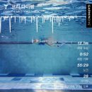 태현스포츠 | AIDA2 피쉬맨 프리다이빙 교육 ② - 용인 딥스테이션 / STA / DYN / FIM / CWT / PB 대잔치 🥳