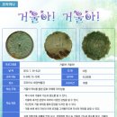 코리아나 화장박물관 이미지