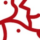 샤이니덴탈 이미지