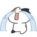 망고캣 이미지