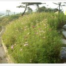 추억과낭만 이미지