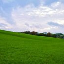 두산목장 이미지