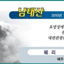 개미여행사