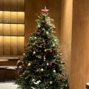 파스쿠찌 해운대점 | [부산 해운대] '에소플 아포가또'를 만나볼 수 있는 '파스쿠찌 에스프레소바 해운대엘시티점'