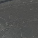 우림교역 이미지