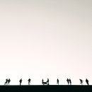 중앙시장1 티스토리