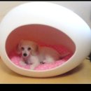 에그하우스 이미지