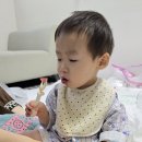 하음 동물병원 네이버블로그