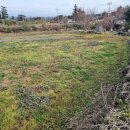 유쾌한공인중개사사무소 이미지