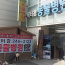 울산착한동물병원 이미지