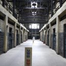 에스디렌터카 이미지