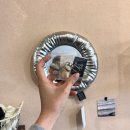 파주엔젤하우스 | 260308-11 제주 쇠소깍깍이 여행 🍊✈️🌊🐴⛰️🥖