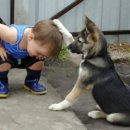 쓰담쓰담 이미지