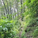 배낭바위민박 이미지