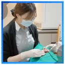 세일치과의원 이미지