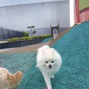 화성유치원
