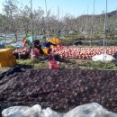 교통관리공단 이미지